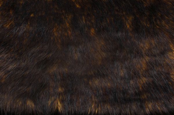 Wolf Brown /Black